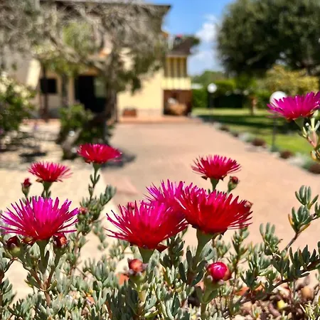 I Lecci 4* San Felice Circeo